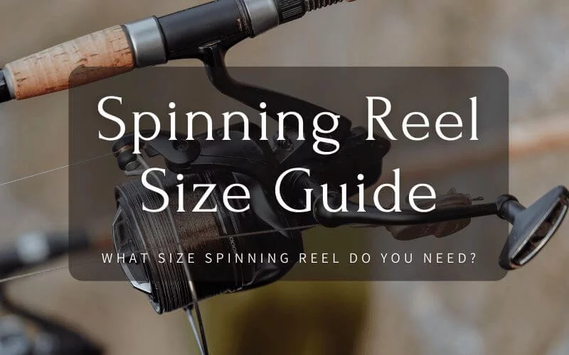 Spinning-Reel-Sizes-Guide-What-Size-Spinning-Reel-Do-You-Need