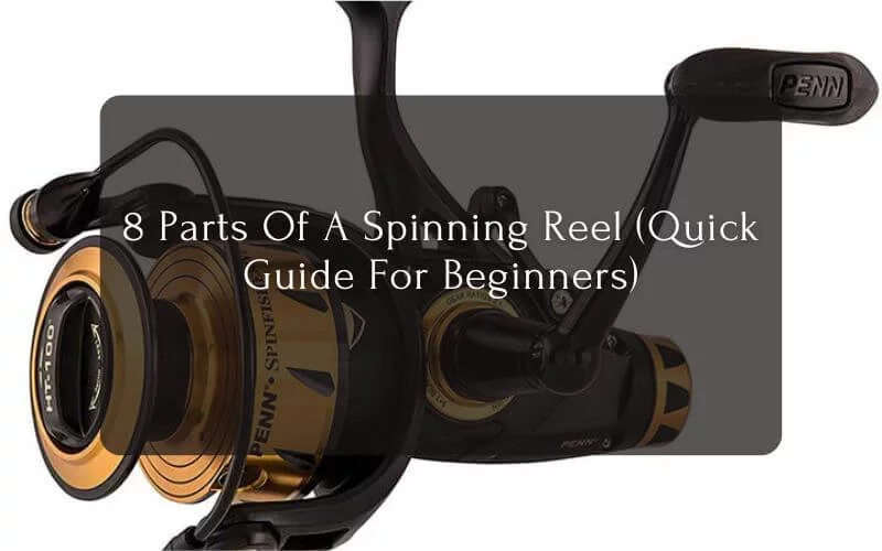 8-Parts-Of-A-Spinning-Reel-Quick-Guide-For-Beginners-3-1