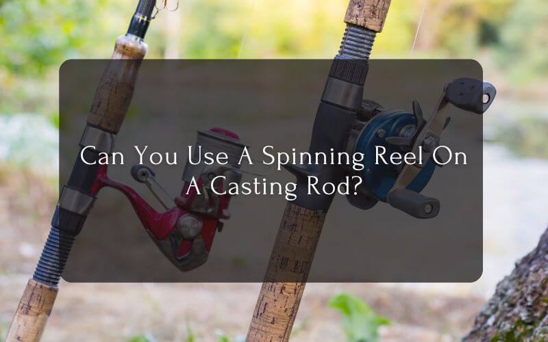 Can-You-Use-A-Spinning-Reel-On-A-Casting-Rod